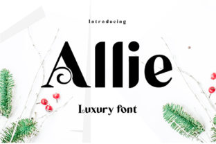 Allie: A Modern Display Font for Elegant Web Design