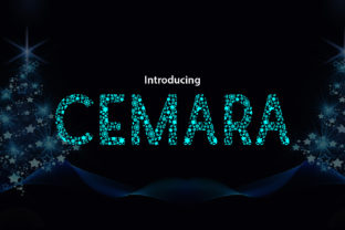 Cemara: The Playful Display Font for Standout Brands